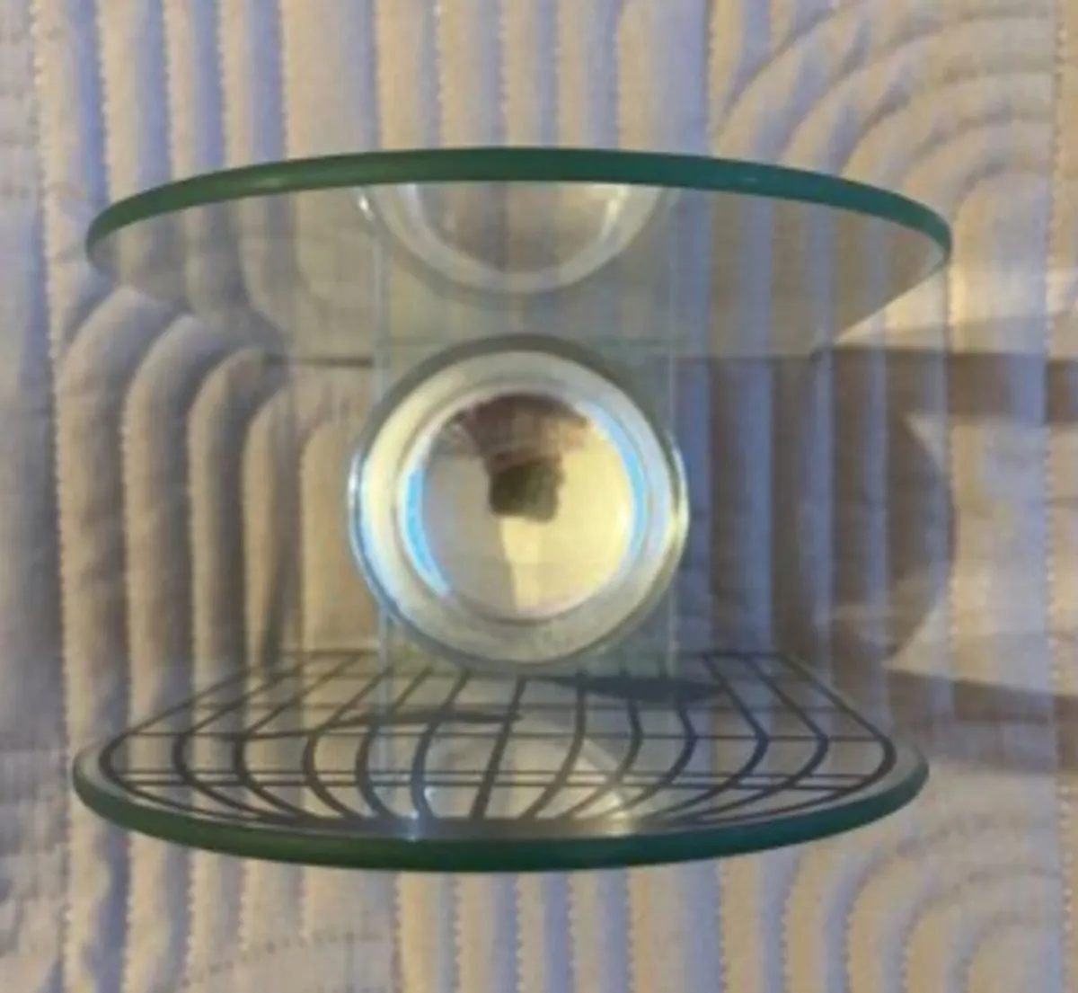 Beautiful Glass Bird Tealight holder - Image 4