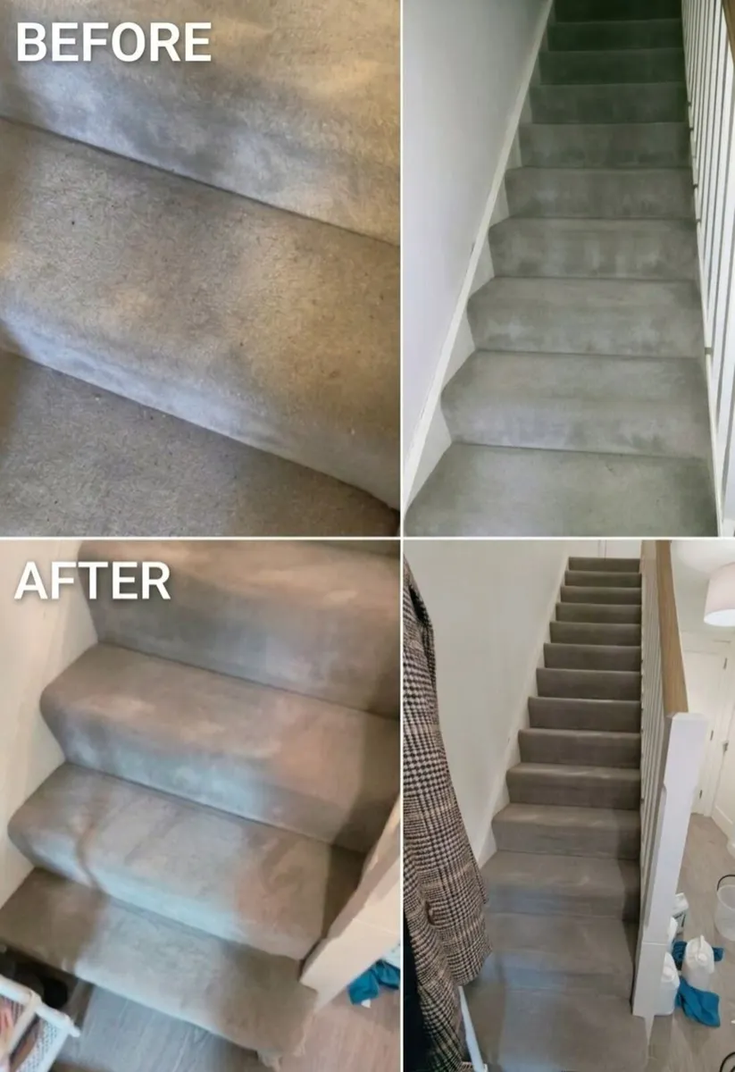 Carpet and Upholstery Cleaning Service - Image 2