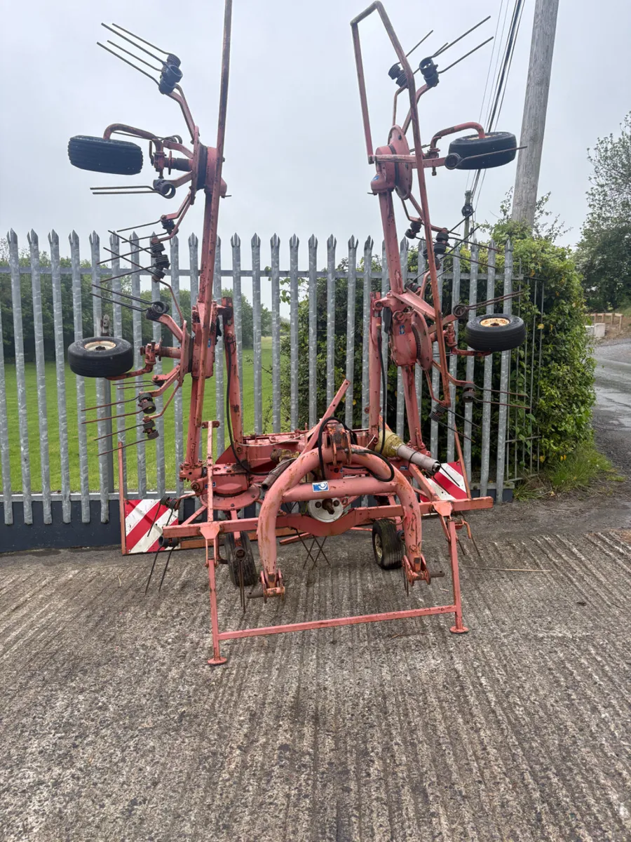 KUHN TEDDER - Image 1
