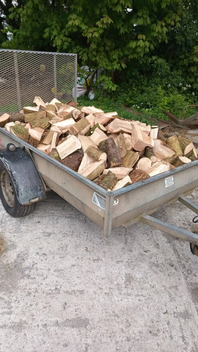 Firewood