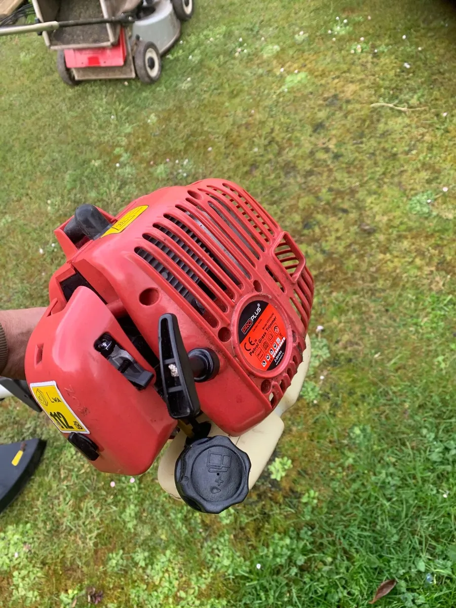 Strimmer - Image 1