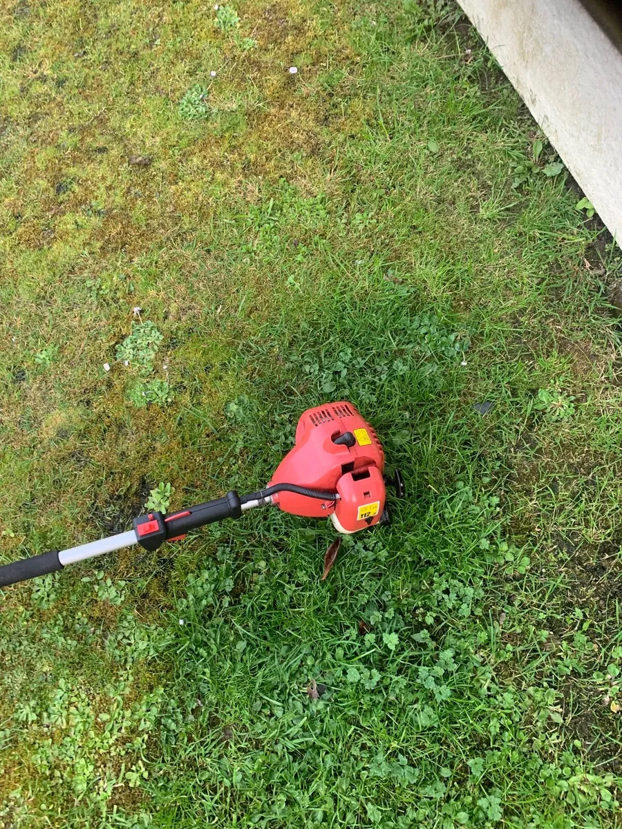 Strimmer - Image 3