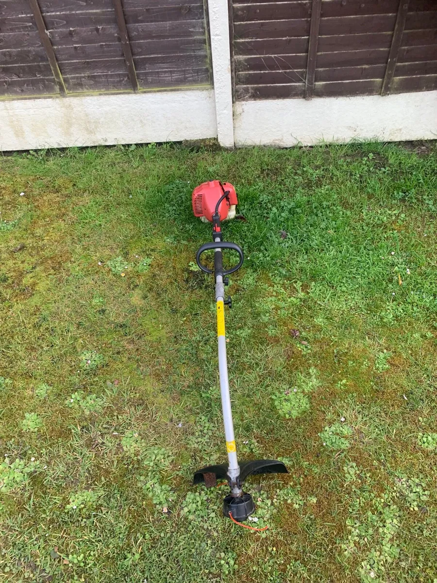 Strimmer - Image 2