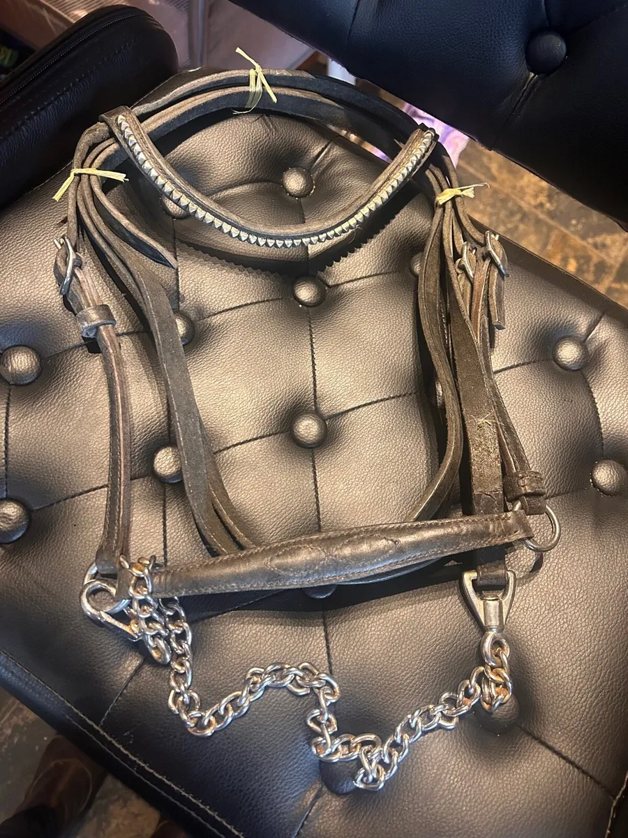 Shetland English leather show bridle - Image 1