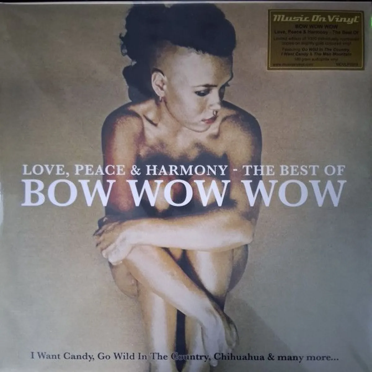 Bow Wow Wow Vinyl - Image 3