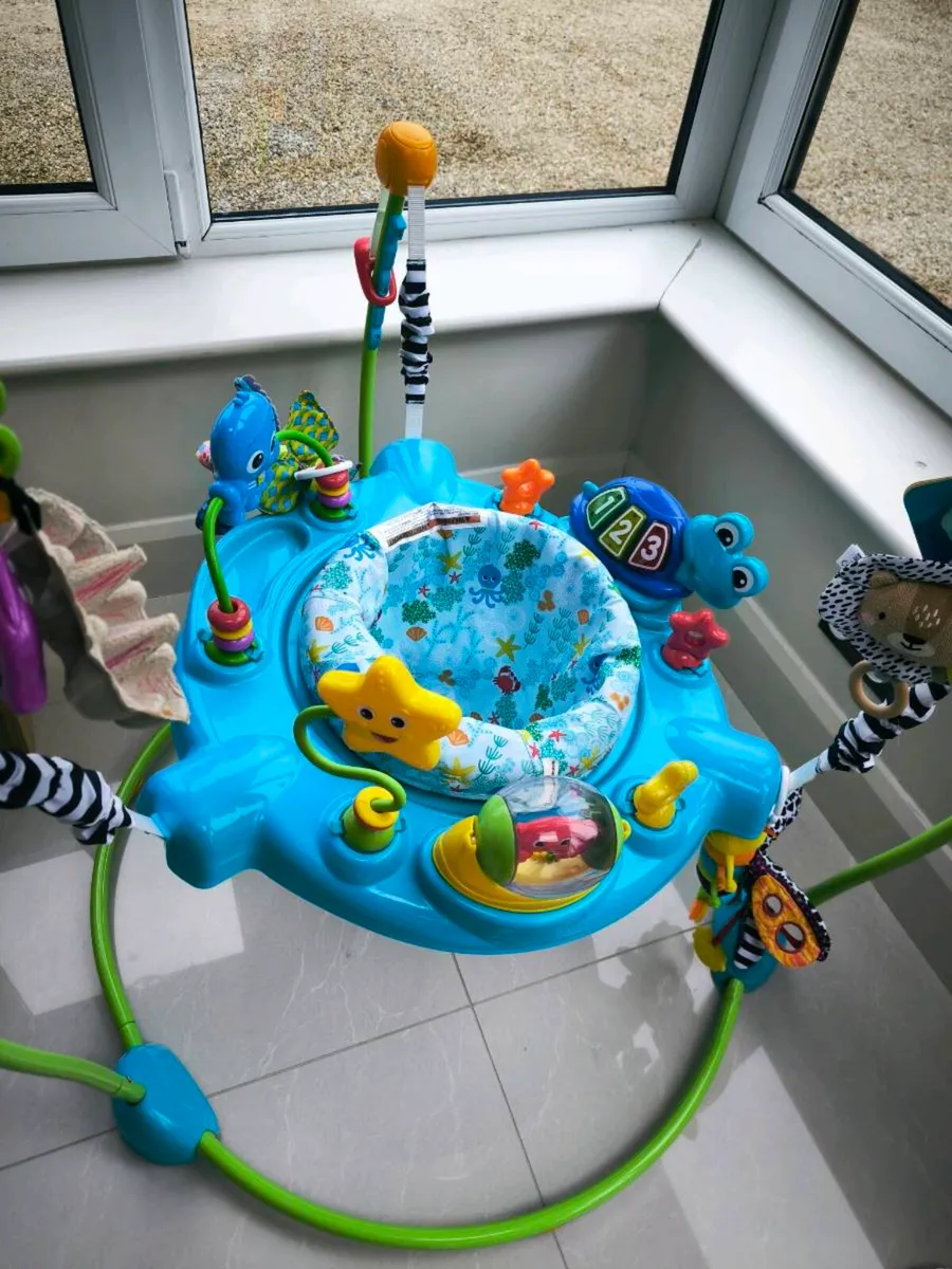 Baby Einstein Jumper - Free - Image 1