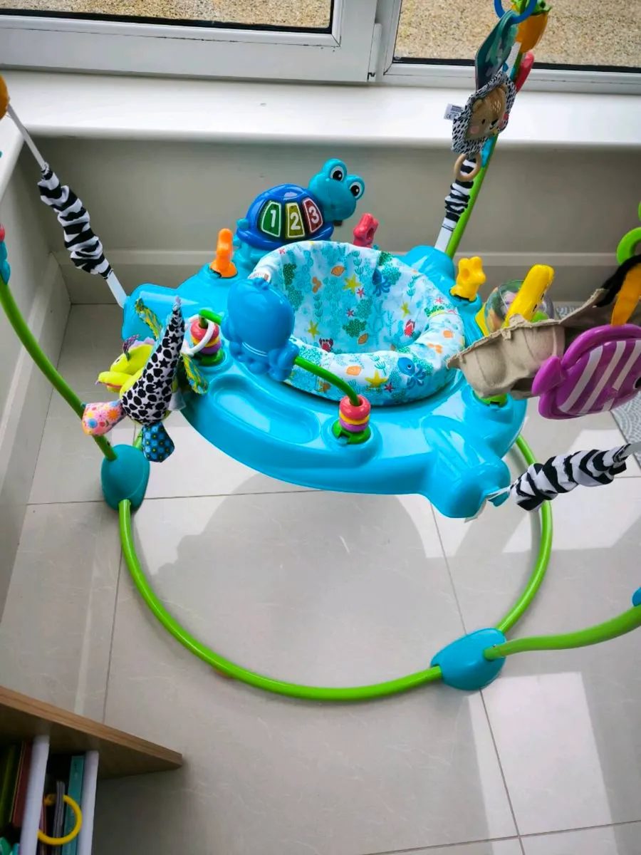 Baby Einstein Jumper - Free - Image 2