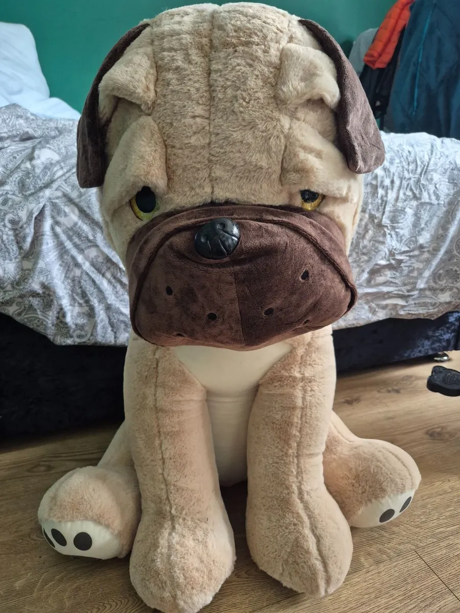 Giant Teddy