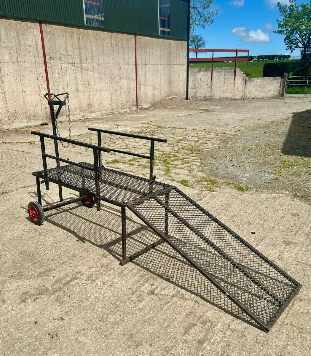 Sheep trimming stand - Image 2