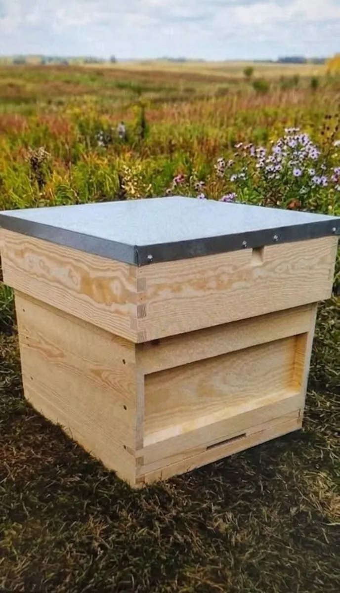 National Pine Timber Bee Hives - Flat Pack - Image 1
