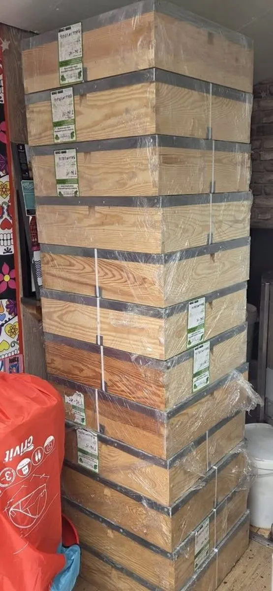 National Pine Timber Bee Hives - Flat Pack - Image 2