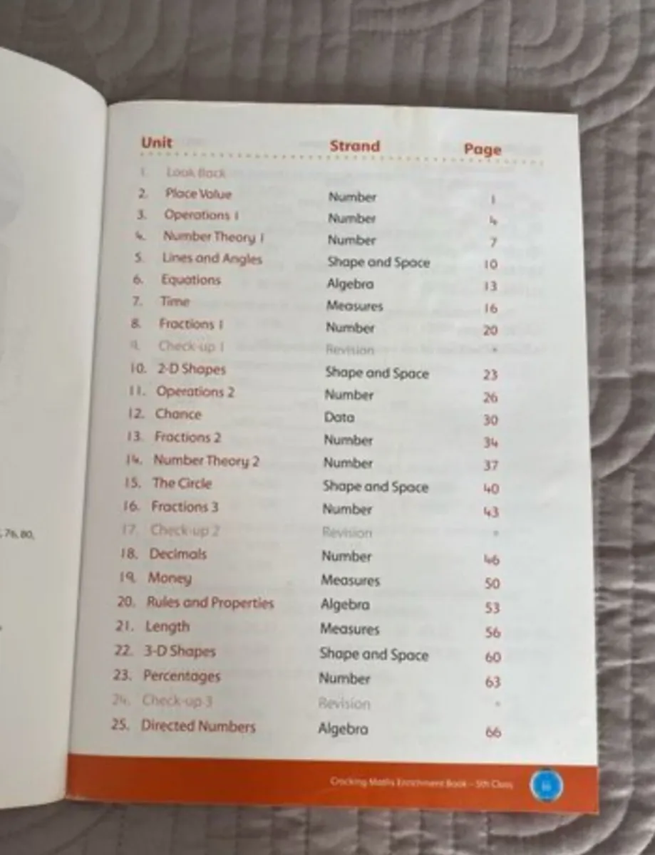 Cracking Maths 5th Class Enrichment Book - Image 2