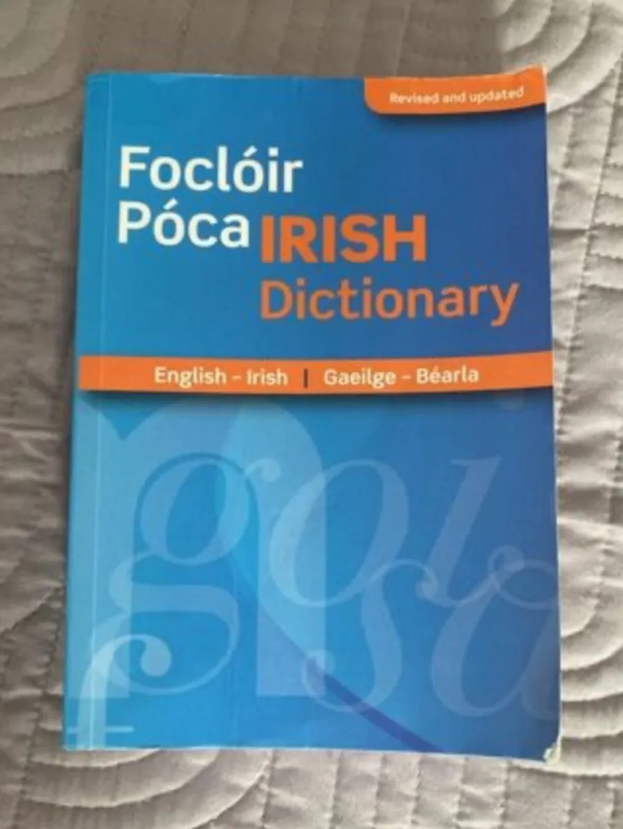 Focloir Poca/Pocket Dictionary Irish-English - Image 1