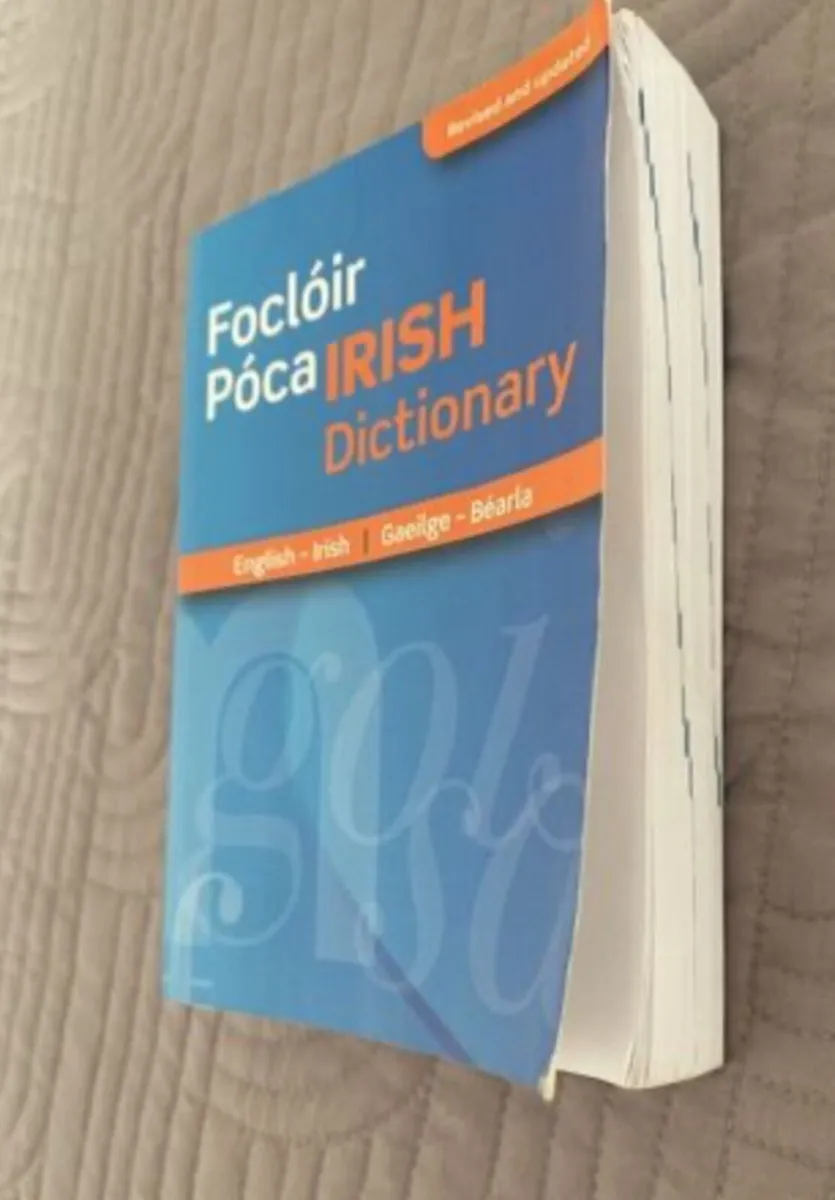 Focloir Poca/Pocket Dictionary Irish-English - Image 2