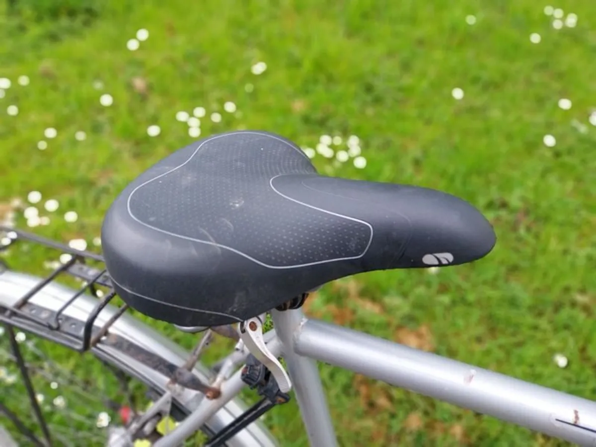 Gold Rush Road Bike - Image 2