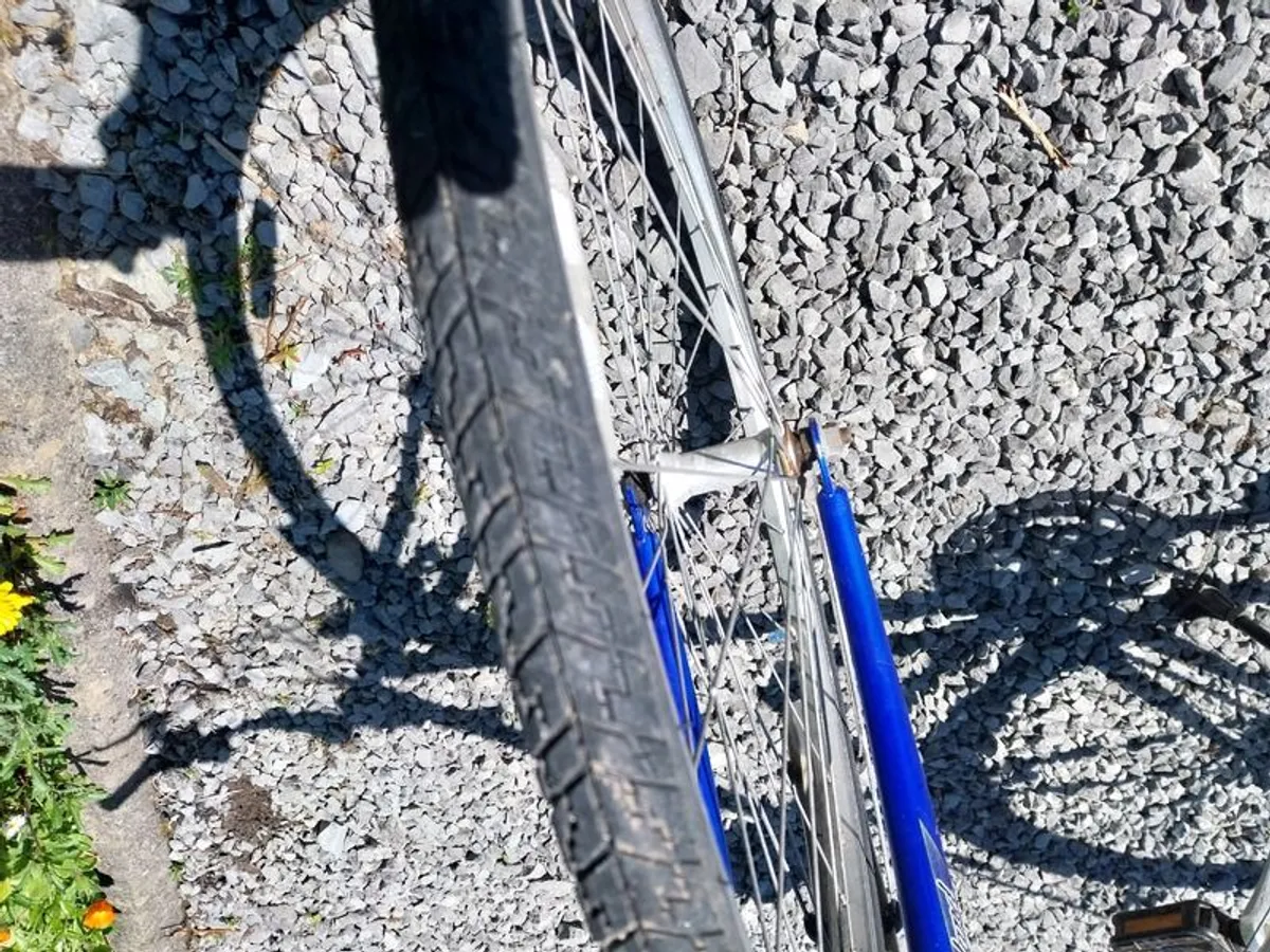 Gold Rush Road Bike - Image 4