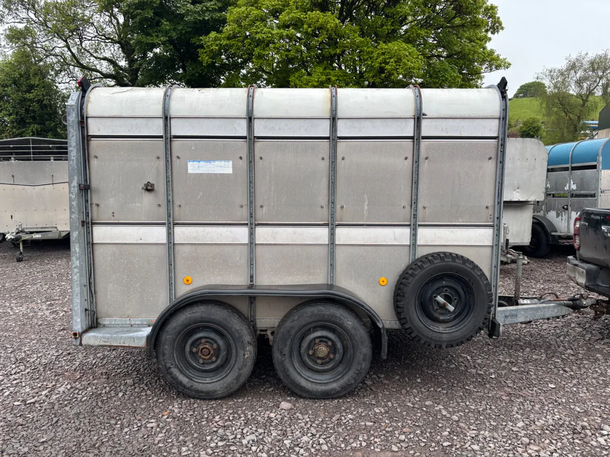 Ifor Williams 10ft x 6ft cattle trailer - Image 4