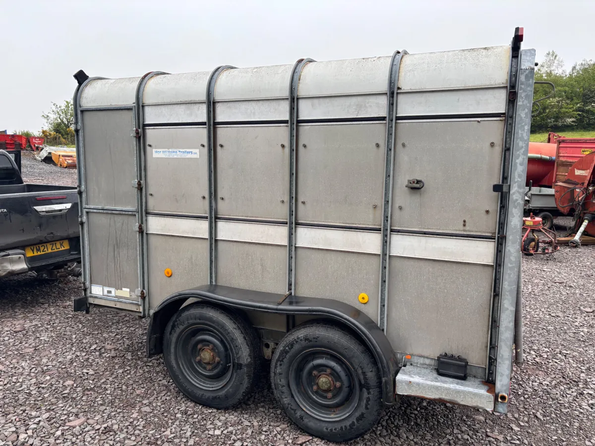 Ifor Williams 10ft x 6ft cattle trailer - Image 3