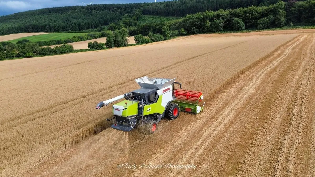Claas trion 650 combine 4WD - Image 3