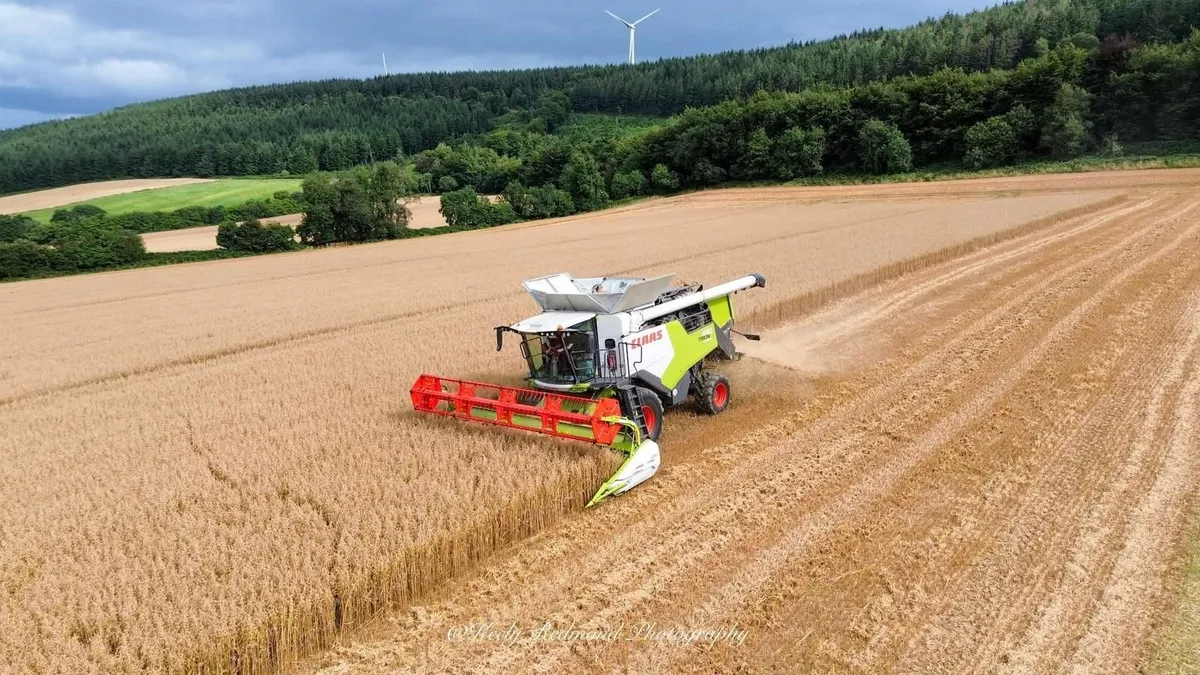 Claas trion 650 combine 4WD - Image 2