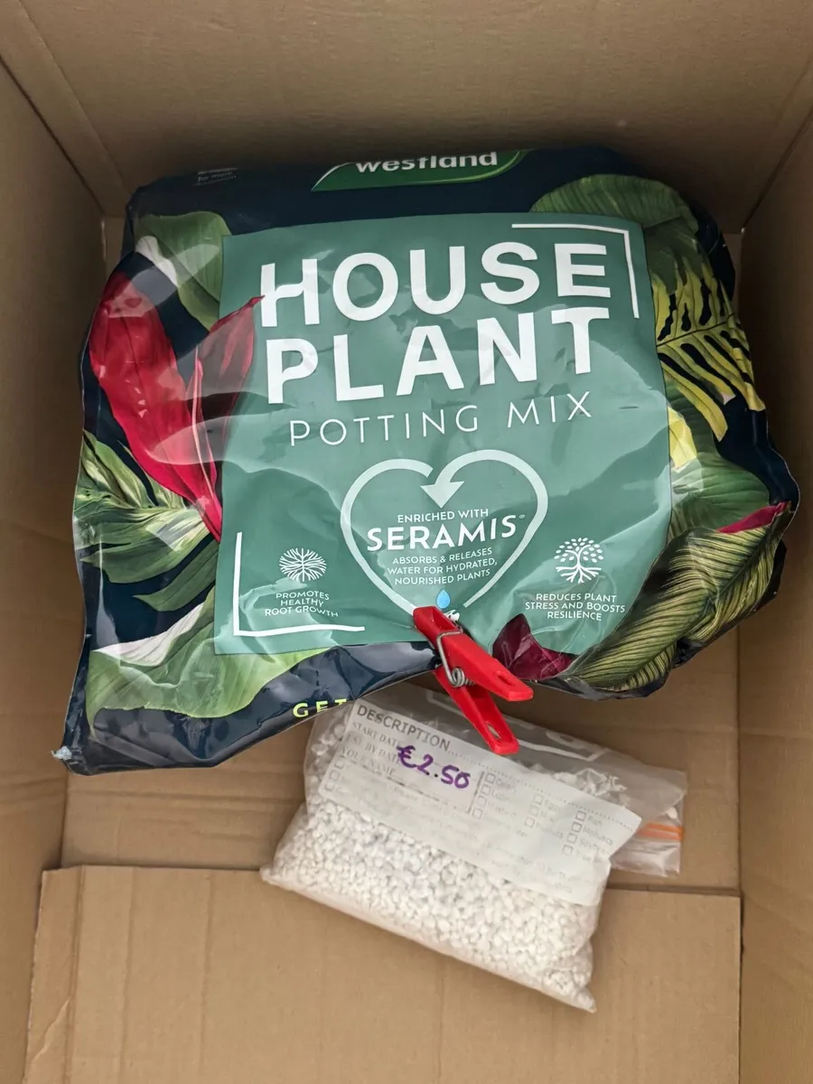 Westland House Plant Potting Mix + Perlite