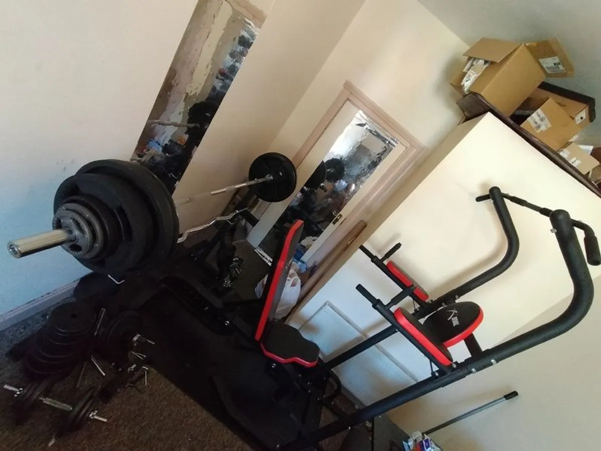 Full Home Gym Set Olympic Barbell, Bench, Stands, Power Tower, Plates Etc. - Image 1