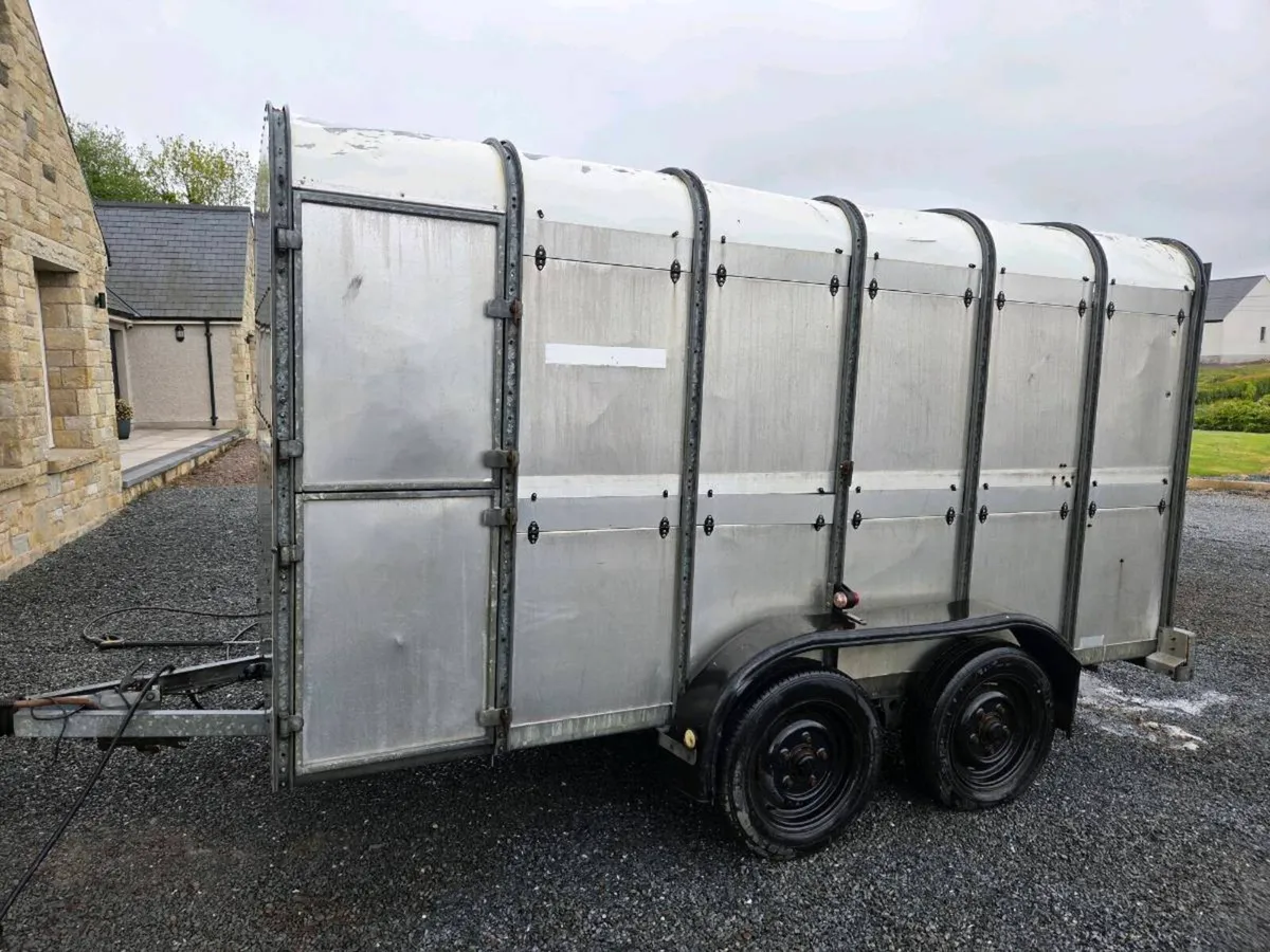 Ivor Williams cattle trailer - Image 1