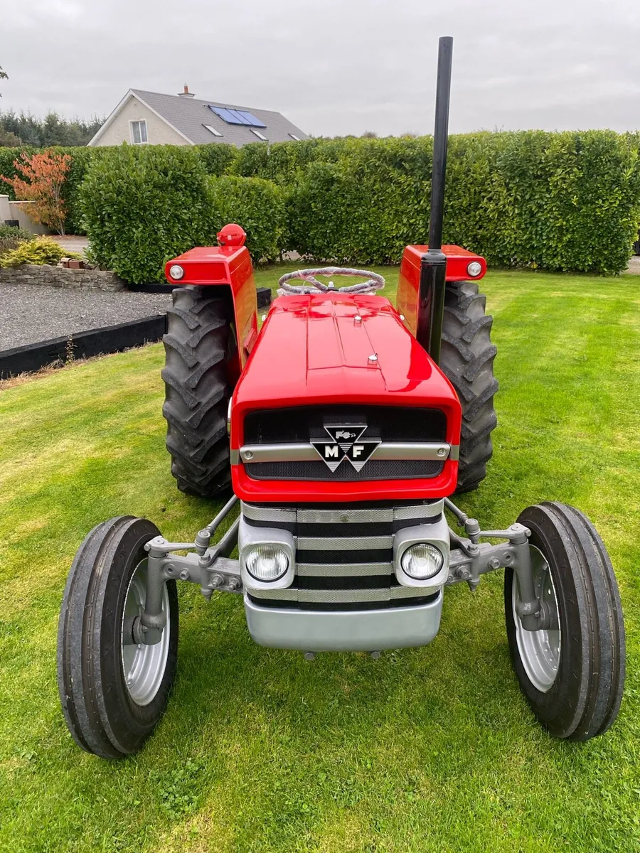 Massey Ferguson 135 - Image 3