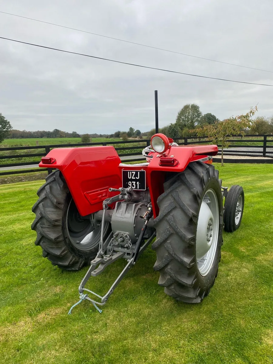 Massey Ferguson 135 - Image 4