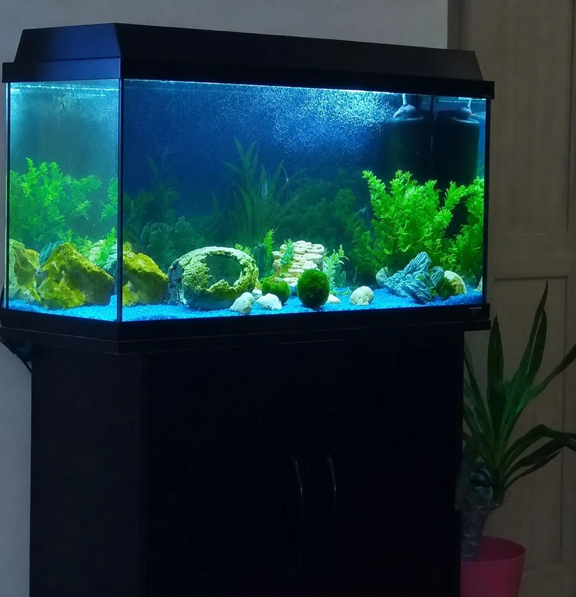 Fish tank - Image 1