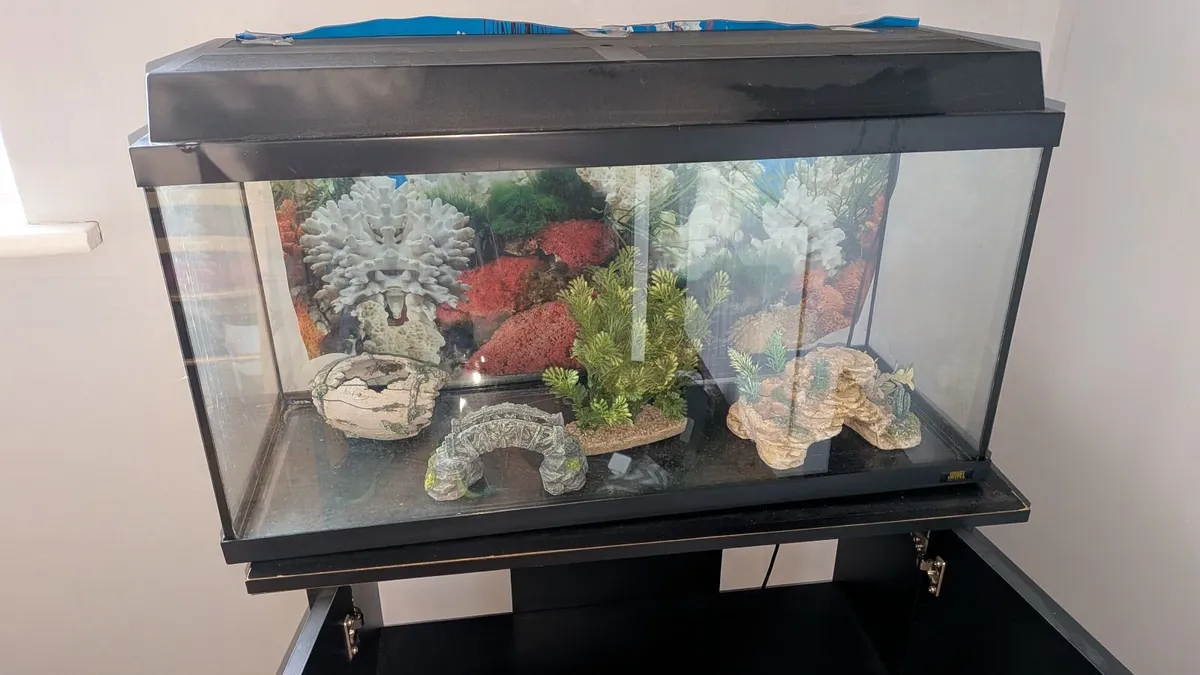 Fish tank - Image 3