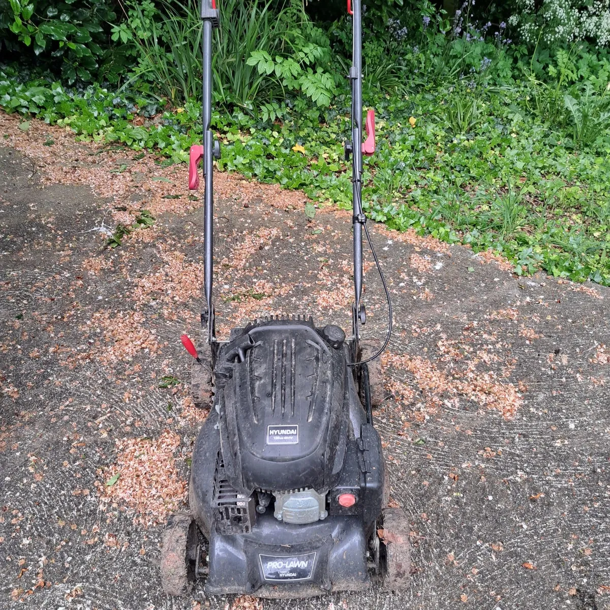 Lawn mower - Image 1