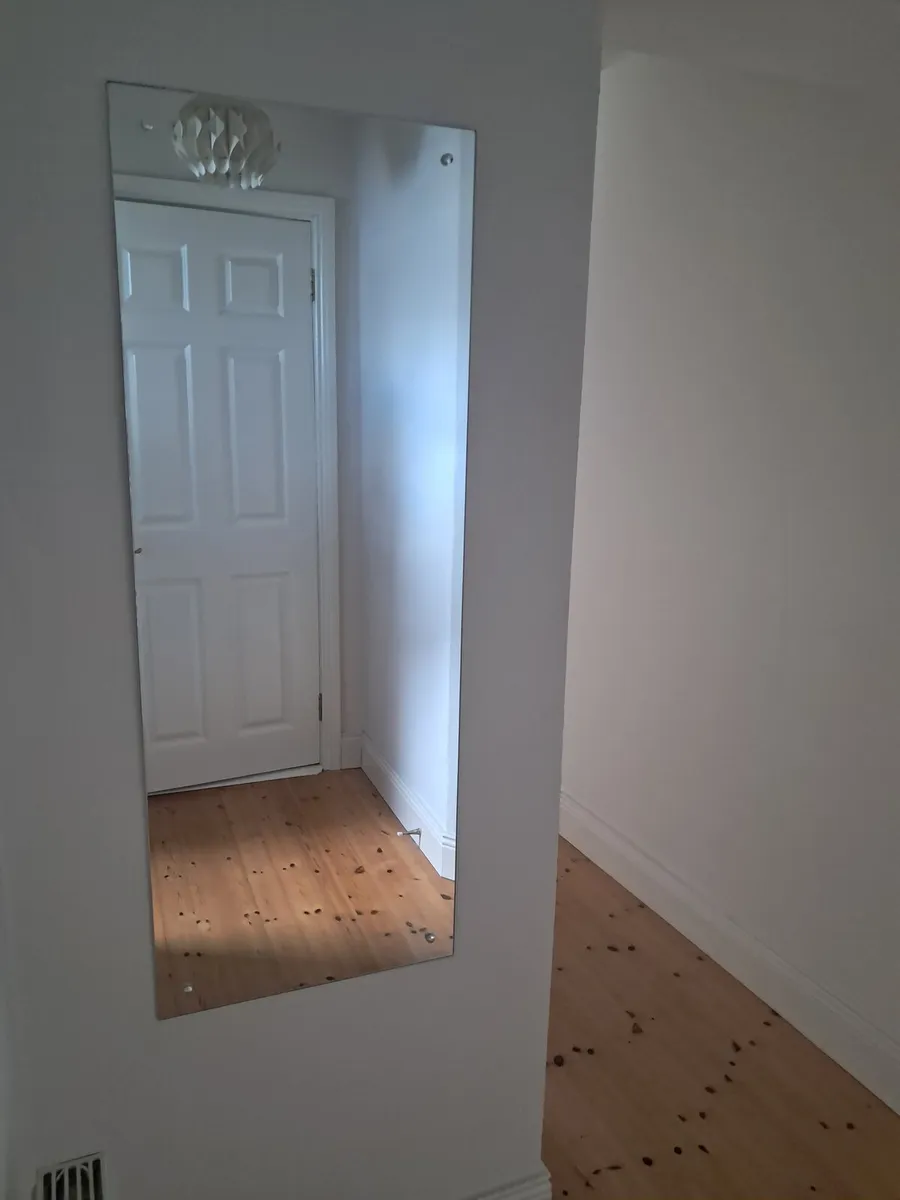 Large mirror 120cm by 45cms
