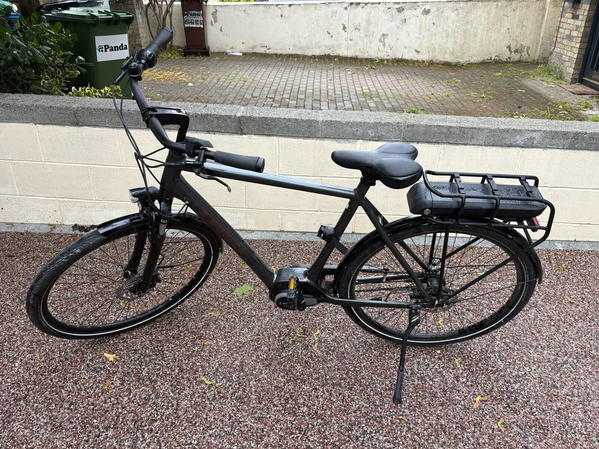Ebike - Image 2