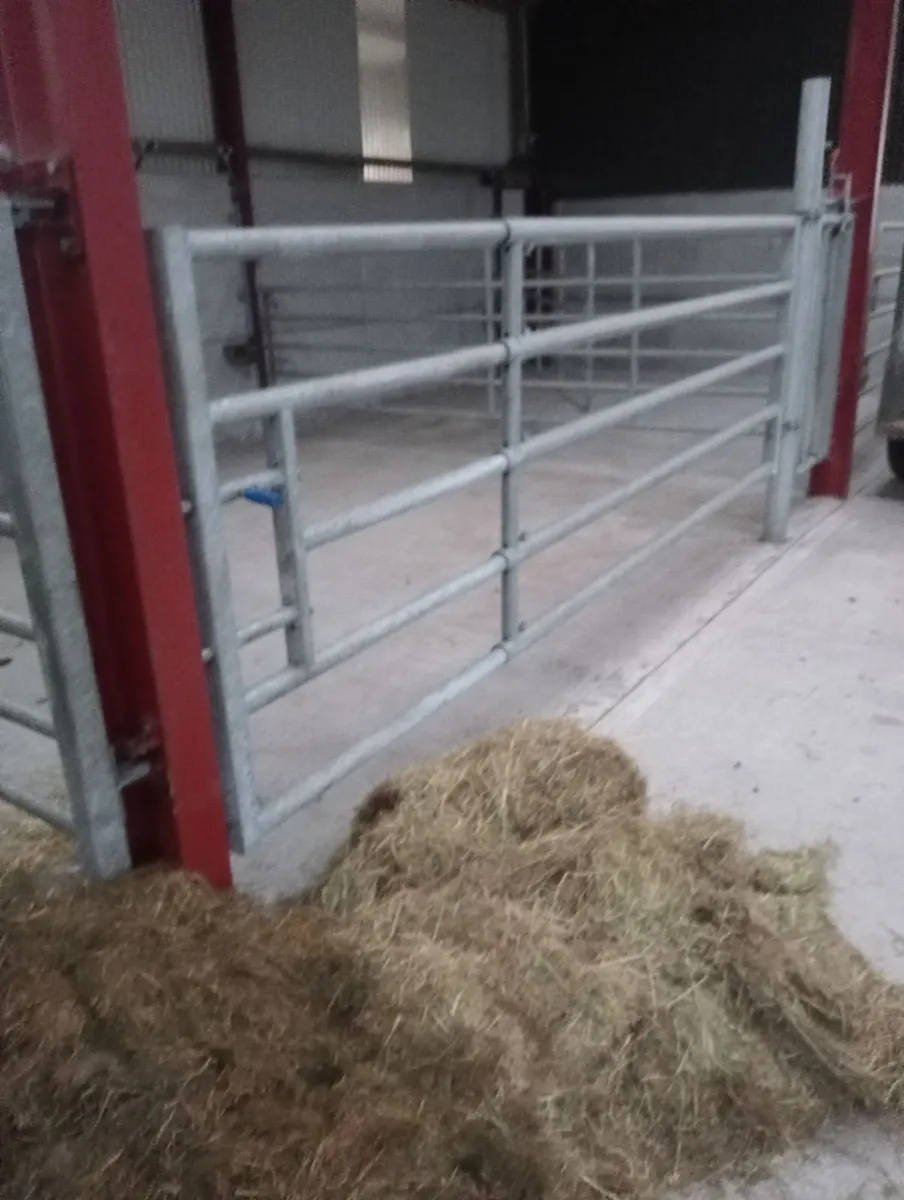 Calving gate - Image 2