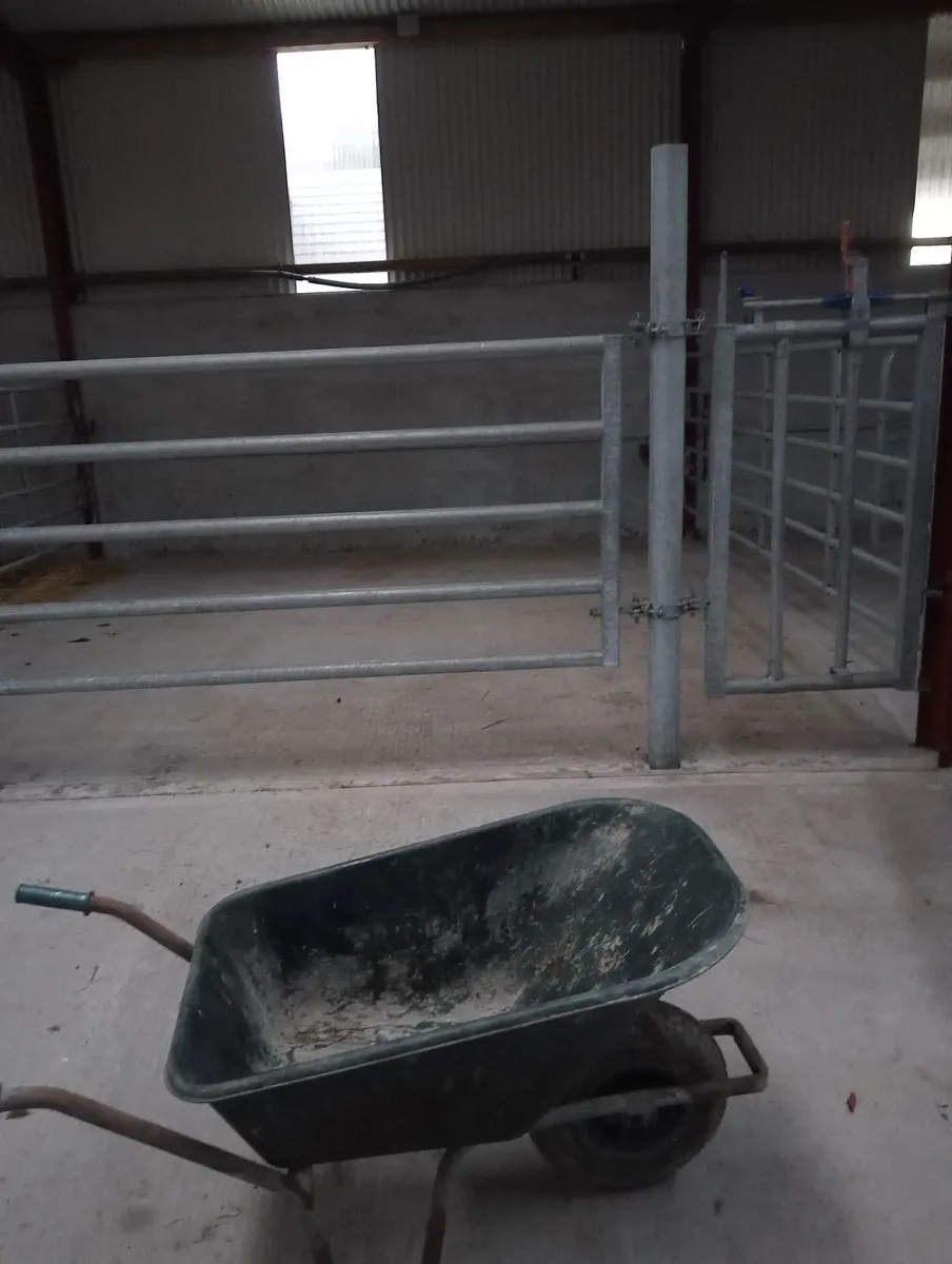 Calving gate - Image 3