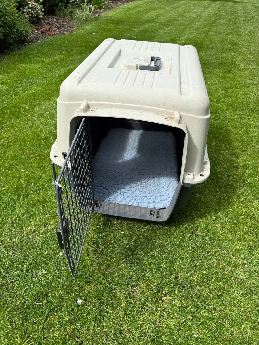 Pet transport box - Image 1