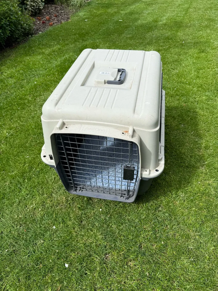 Pet transport box - Image 2