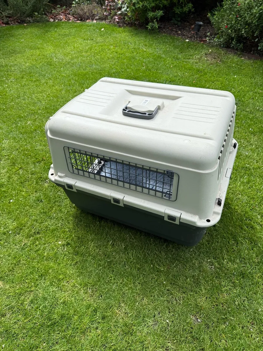 Pet transport box - Image 3