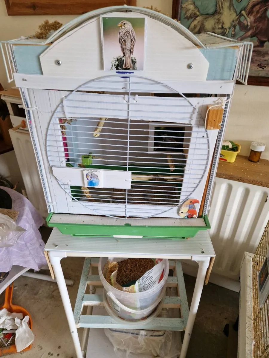 Bird .cage food budgie - Image 1