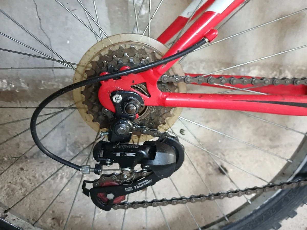 Mountain Bike - Image 2