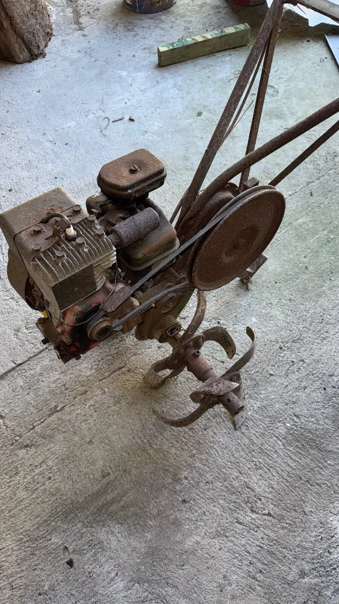 Wolseley 'Merry Tiller' Rotavator - Image 2