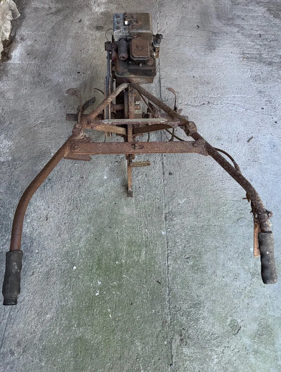 Wolseley 'Merry Tiller' Rotavator - Image 3