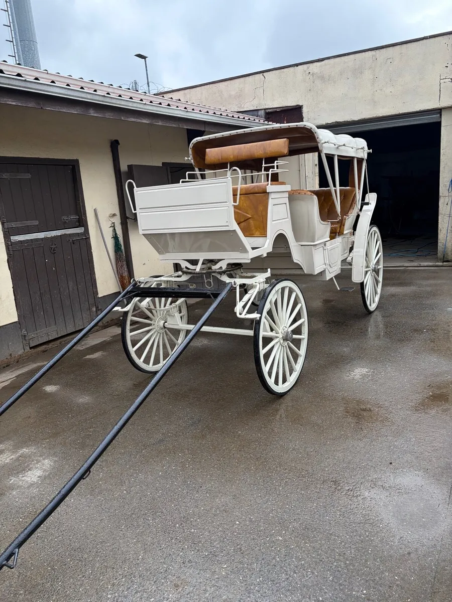 Carriage - Image 1