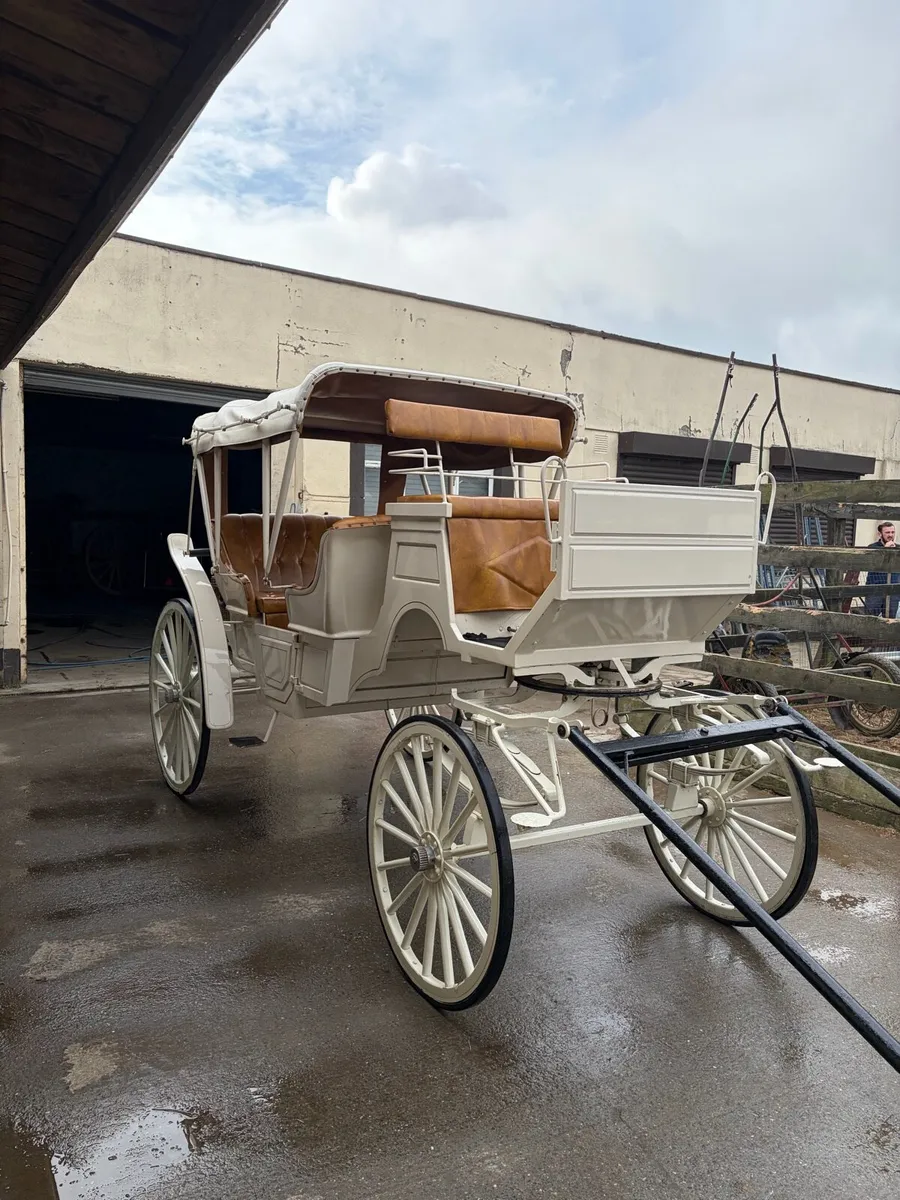 Carriage - Image 4