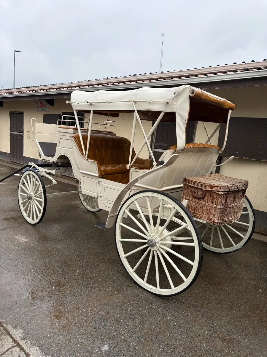 Carriage - Image 2