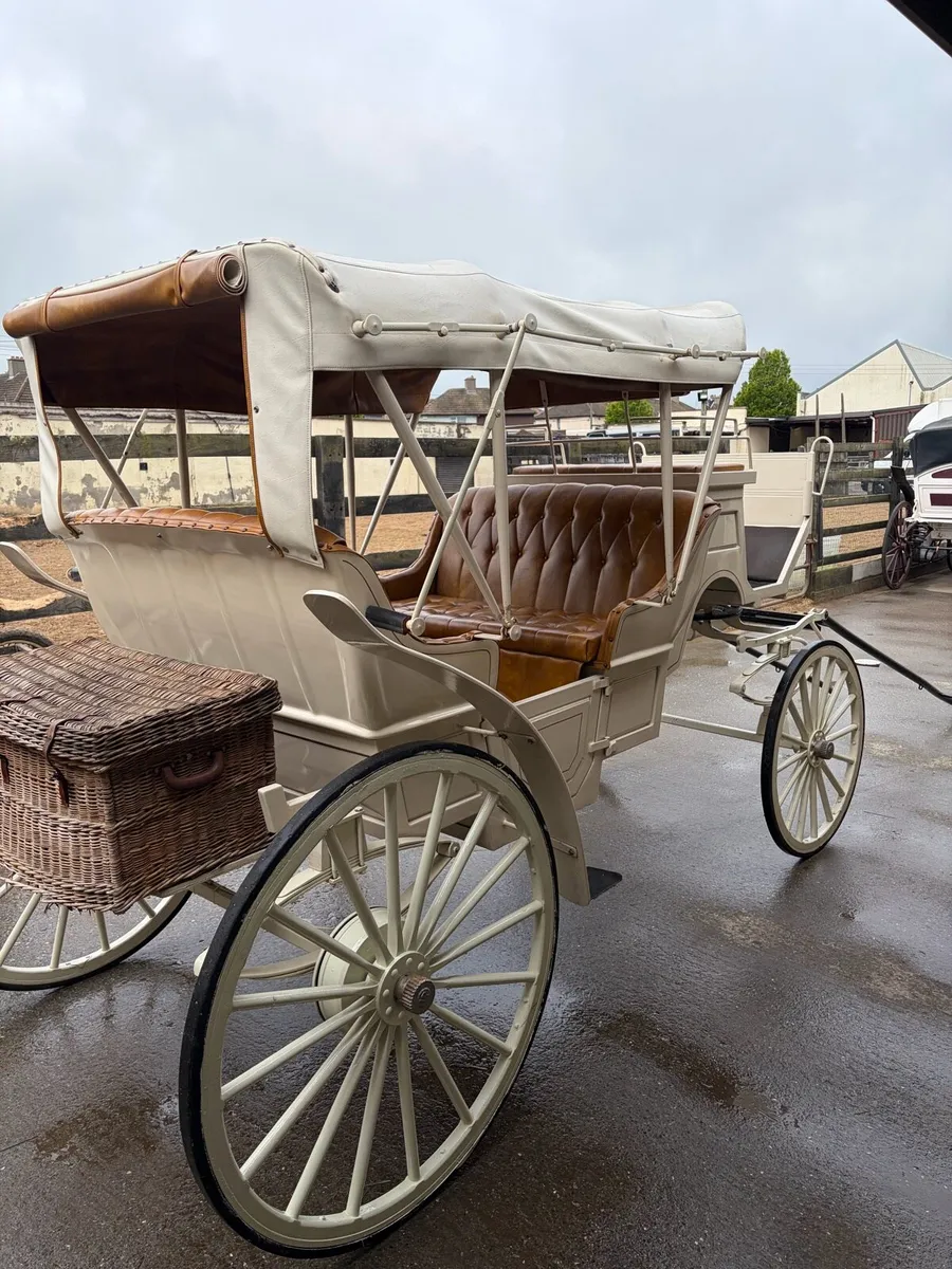Carriage - Image 3