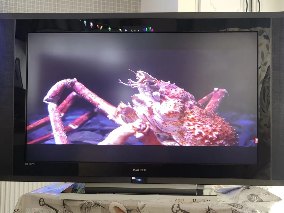 Walker HD TV - 42" - Image 2