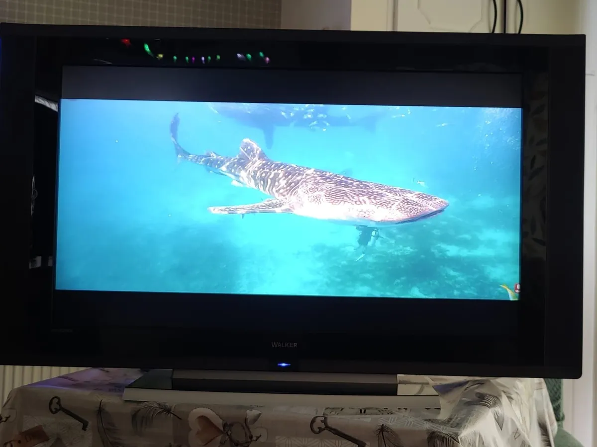 Walker HD TV - 42" - Image 3