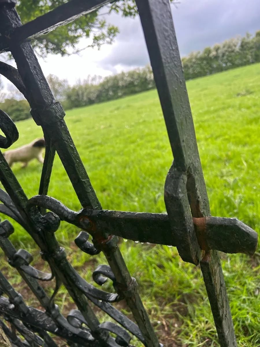Old gate - Image 4